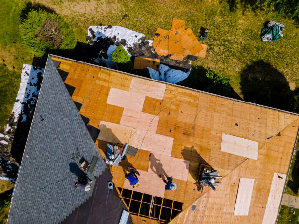 Best Commercial Roofing Services  in Kemp, TX