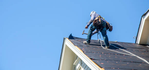 Best Storm Damage Roof Repair  in Kemp, TX